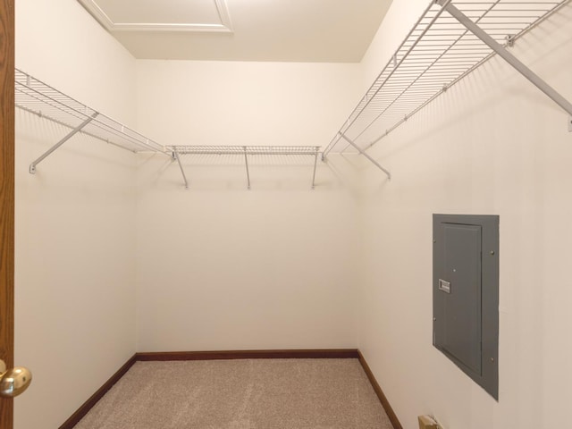 walk in closet featuring carpet flooring, attic access, and electric panel