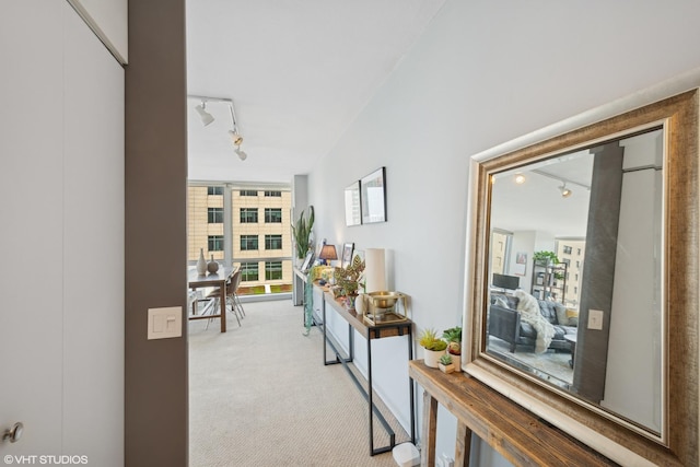 corridor featuring carpet floors, rail lighting, and expansive windows