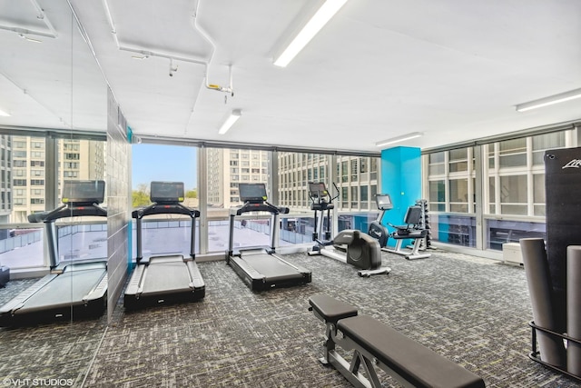 gym featuring carpet floors and floor to ceiling windows