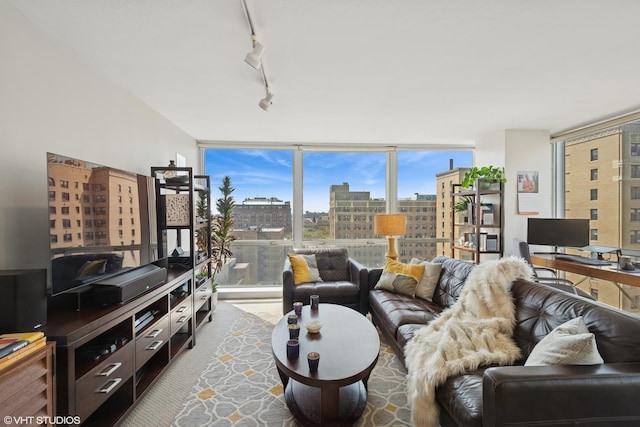 living room with expansive windows and track lighting