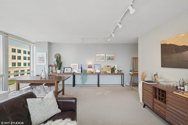 interior space with light colored carpet and track lighting