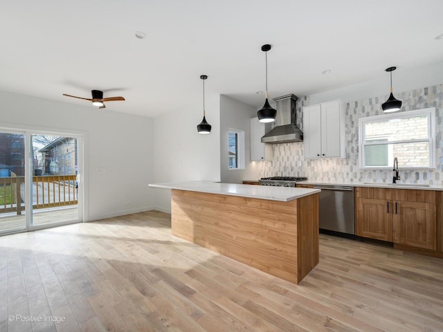 kitchen featuring wall chimney exhaust hood, stainless steel dishwasher, a sink, and light wood finished floors