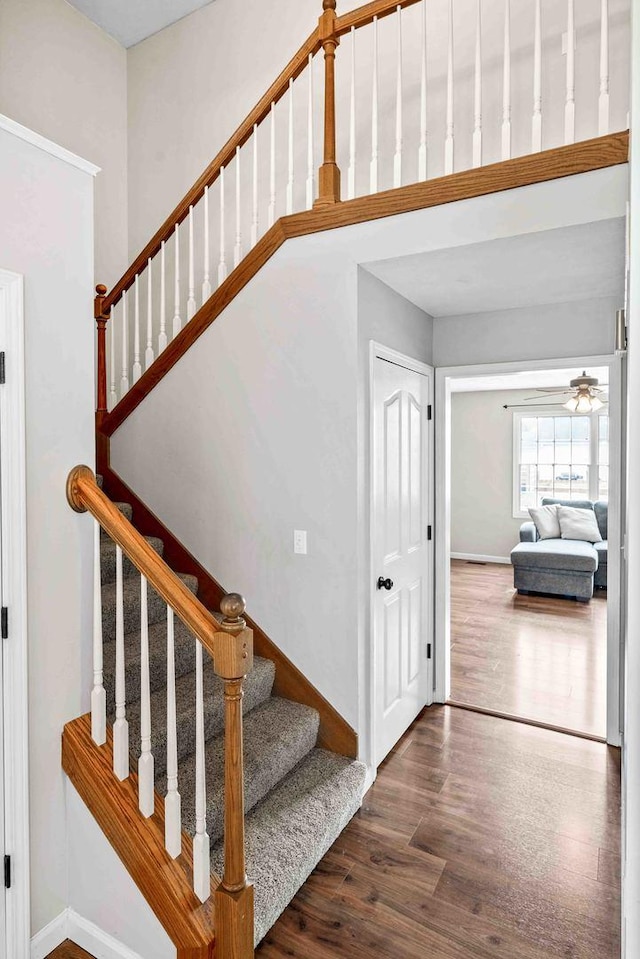 3509 Castlemain Dr, Bloomington, IL 61704 - photo 22
