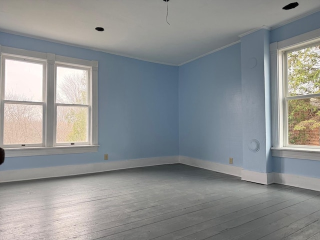 310 Elk St, Galena, IL 61036 - unfurnished room featuring plenty of natural light, hardwood / wood-style flooring, baseboards, and crown molding