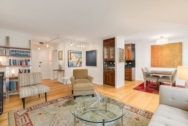 living area featuring light wood finished floors, track lighting, and baseboards