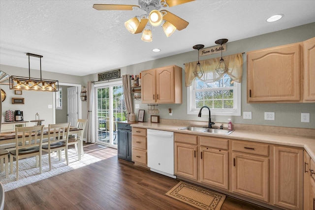 kitchen with white dishwasher, dark wood-type flooring, light brown cabinets, and a sink