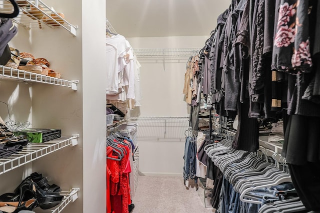 walk in closet featuring carpet
