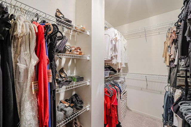 spacious closet with carpet