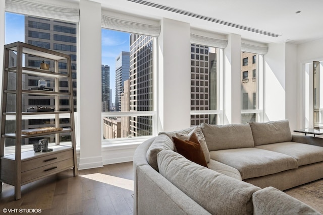 living room featuring dark wood-style flooring and a view of city