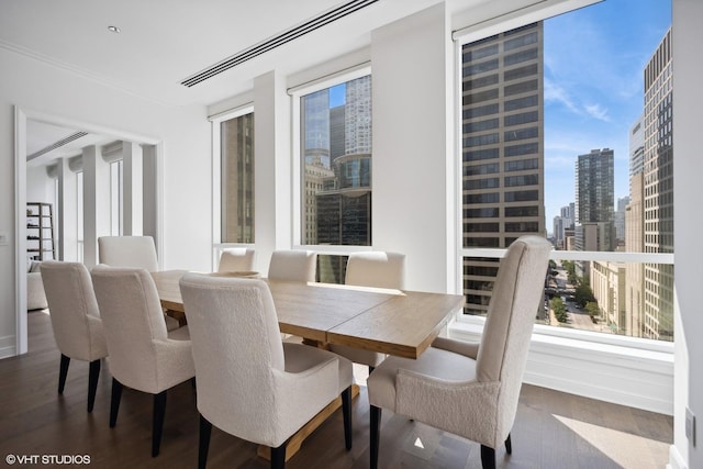 dining room featuring a city view, wood finished floors, and a healthy amount of sunlight