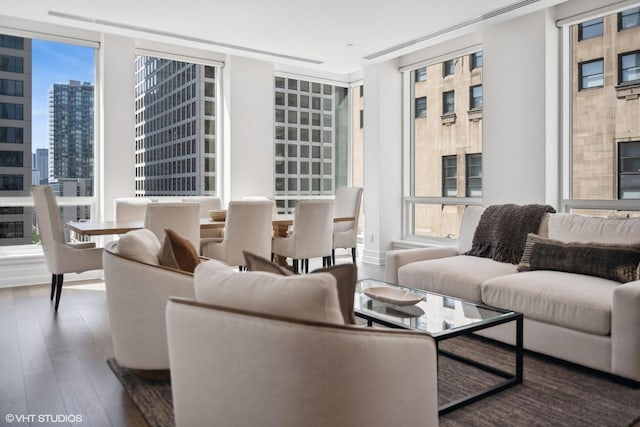 living room with a city view, wood finished floors, and a wealth of natural light