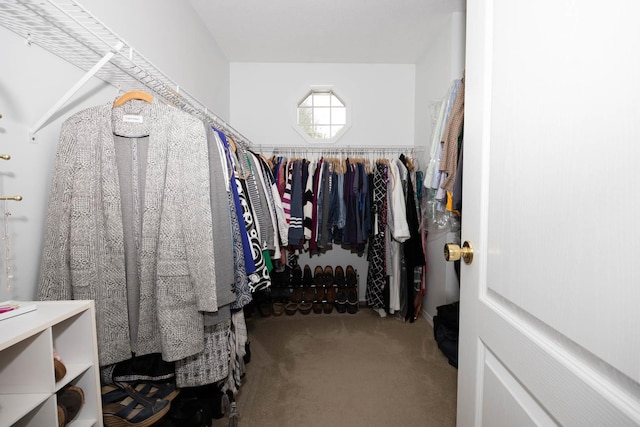 spacious closet featuring carpet flooring