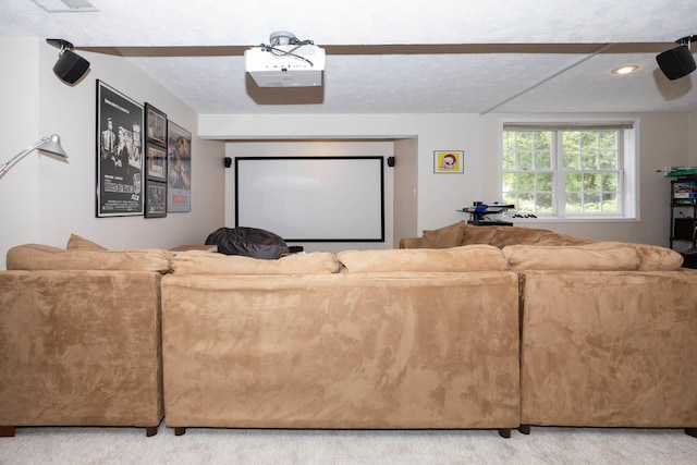 view of carpeted home theater room