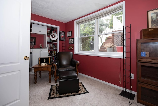 sitting room with baseboards and carpet flooring