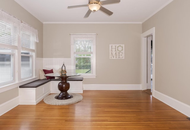 805 N School St, Normal, IL 61761 - photo 13