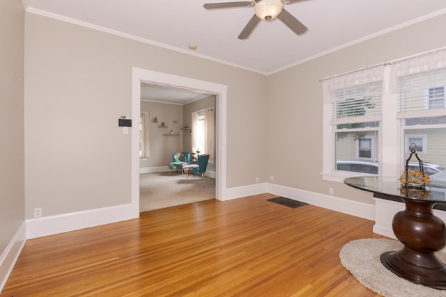 805 N School St, Normal, IL 61761 - photo 14