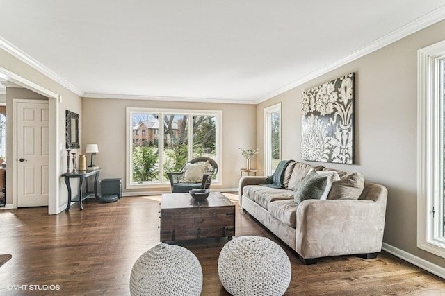 living room featuring crown molding, baseboards, and wood finished floors