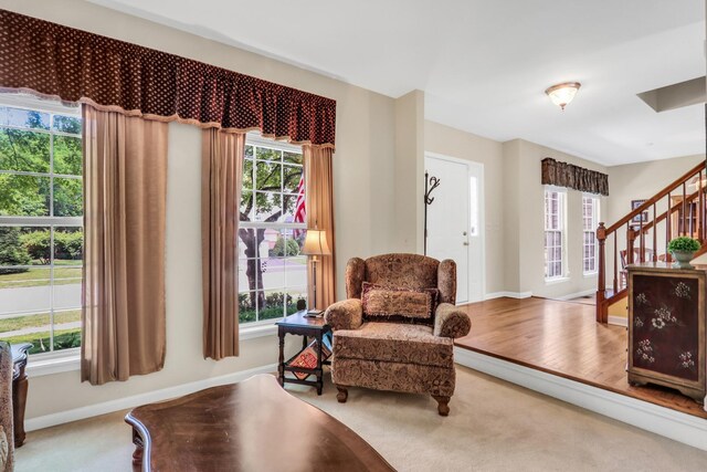 7817 Cascade Way, Gurnee, IL 60031 - sitting room with carpet flooring, stairway, and plenty of natural light