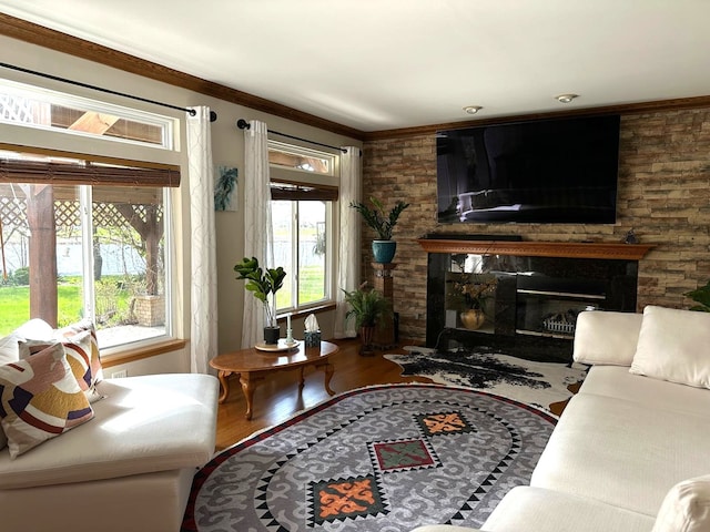 2115 Stafford Ct, Plainfield, IL 60586 - living area with a premium fireplace, wood finished floors, and ornamental molding