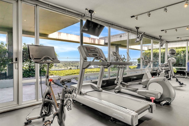 9715 Woods Dr Unit 805, Skokie, IL 60077 - gym with healthy amount of natural light and a wall of windows