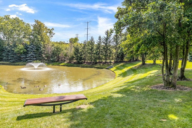 9715 Woods Dr Unit 805, Skokie, IL 60077 - view of property's community featuring a water view and a yard