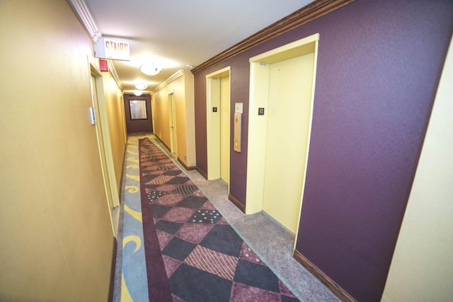 6301 N Sheridan Rd Unit 6D, Chicago, IL 60660 - corridor featuring elevator, ornamental molding, and carpet flooring