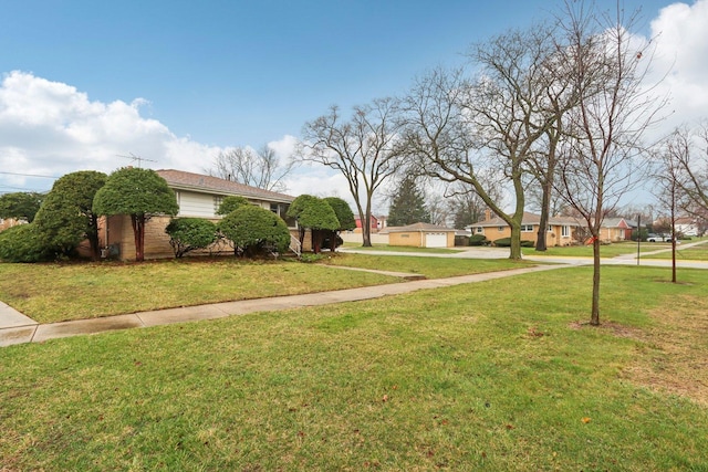 view of yard with concrete driveway