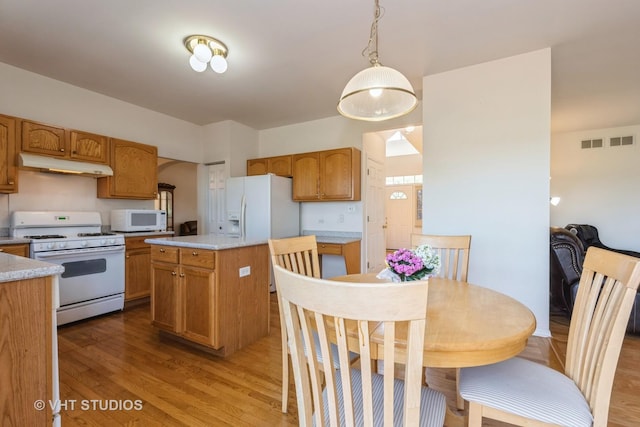 10600 Thornham Ln, Mokena, IL 60448 - kitchen featuring white appliances, under cabinet range hood, light countertops, and light wood finished floors