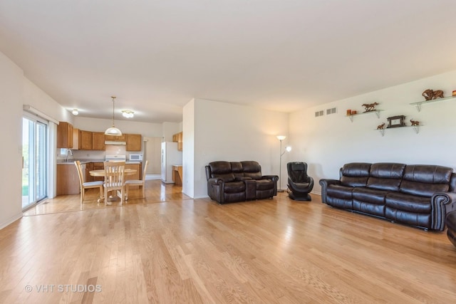 10600 Thornham Ln, Mokena, IL 60448 - living room featuring light wood-type flooring and baseboards