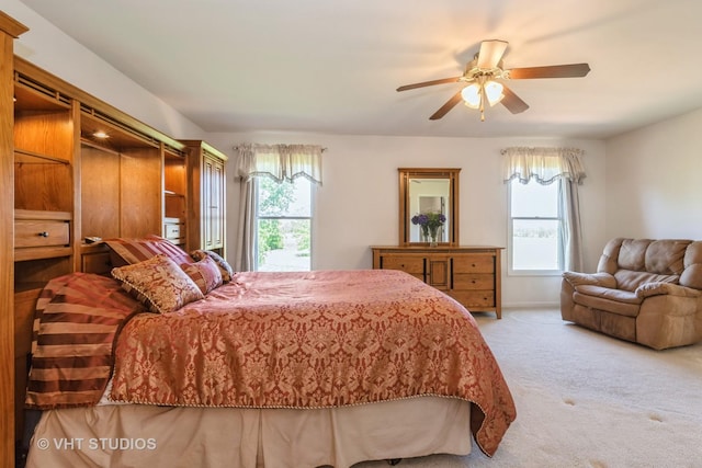 10600 Thornham Ln, Mokena, IL 60448 - bedroom with carpet flooring and multiple windows