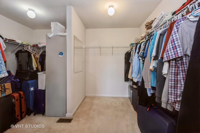 10600 Thornham Ln, Mokena, IL 60448 - walk in closet featuring carpet
