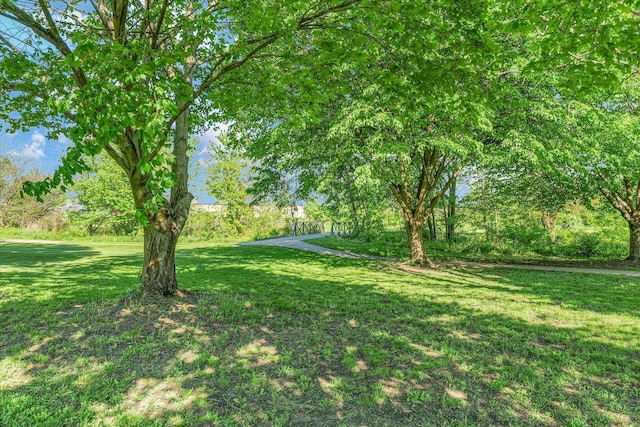 2567 Clayton Blvd Unit 2567, Champaign, IL 61822 - view of green lawn