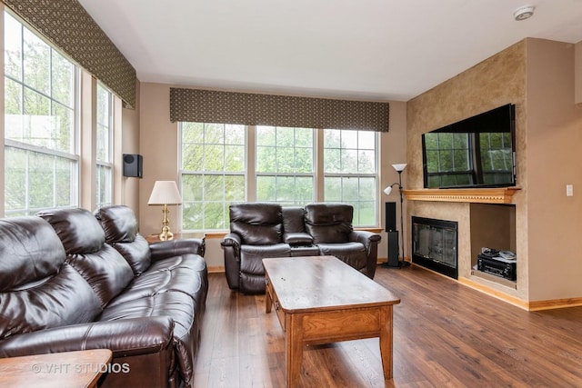 1754 Landreth Ct, Aurora, IL 60504 - living area featuring a healthy amount of sunlight, baseboards, a fireplace, and hardwood / wood-style floors