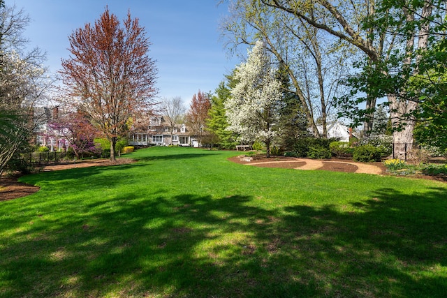 view of yard