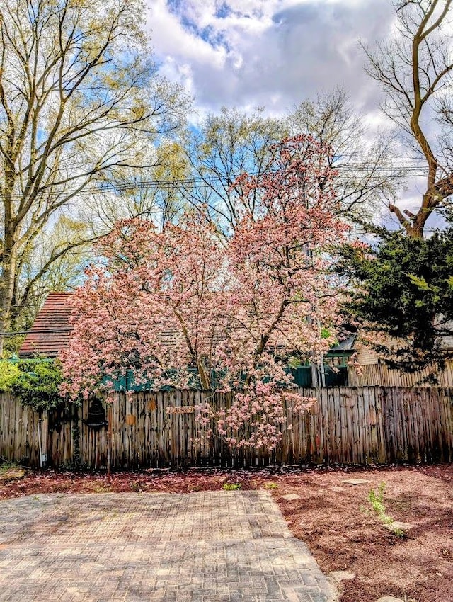 907 W Church St, Champaign, IL 61821 - view of yard featuring a patio area