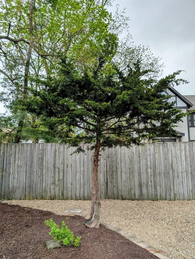 907 W Church St, Champaign, IL 61821 - view of yard