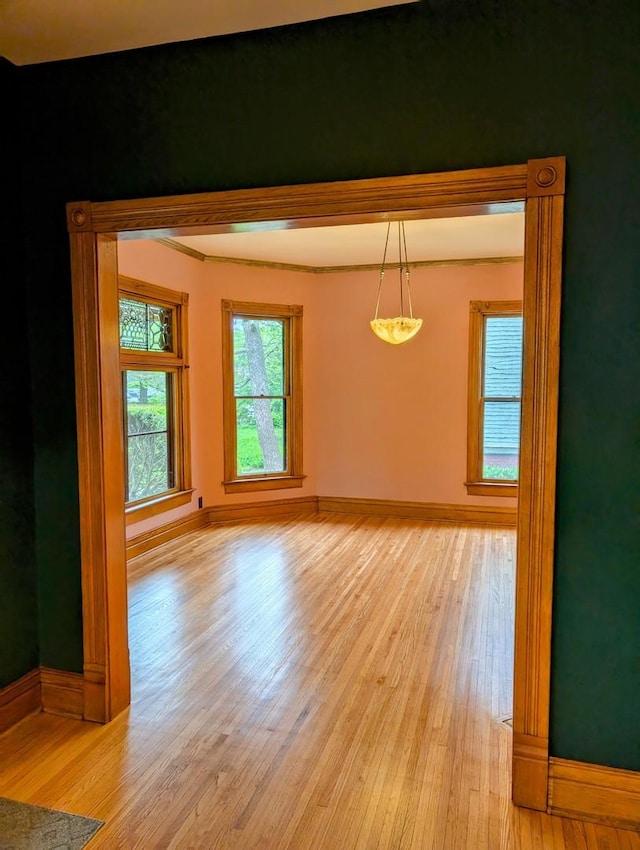 907 W Church St, Champaign, IL 61821 - unfurnished room featuring light wood-type flooring and baseboards
