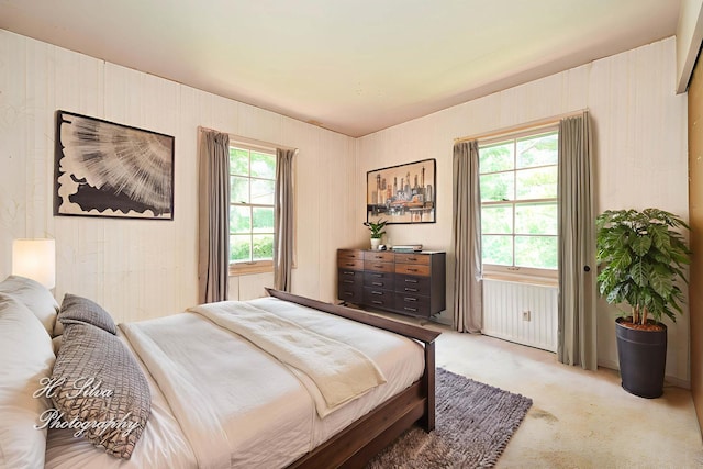 220 Indian Trl, Lake In The Hills, IL 60156 - bedroom with light carpet