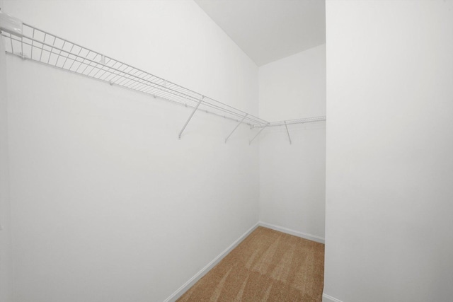 spacious closet with carpet floors