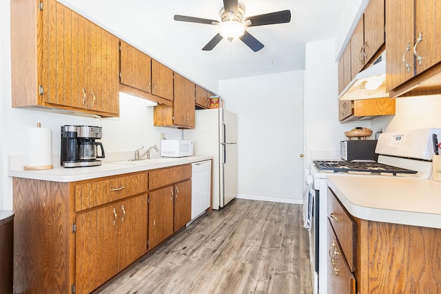 kitchen featuring light wood-style floors, white appliances, brown cabinets, ceiling fan, and under cabinet range hood