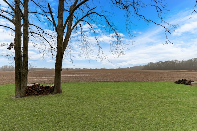 view of yard with a rural view