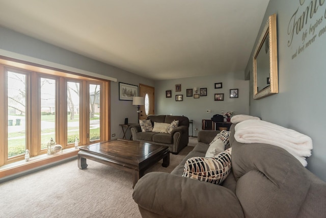 8212 N Ozanam Ave, Niles, IL 60714 - living room featuring carpet flooring