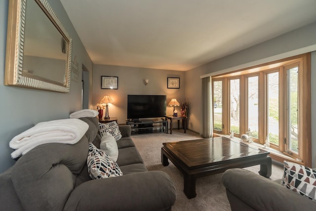 8212 N Ozanam Ave, Niles, IL 60714 - living room with carpet floors