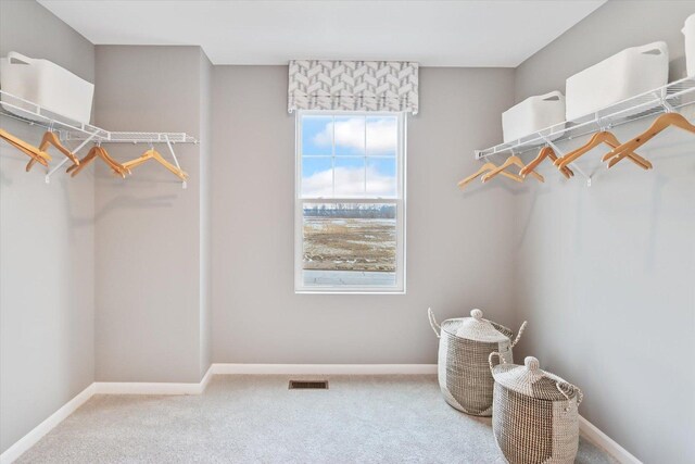 730 Cloverleaf Dr, Marengo, IL 60152 - walk in closet featuring carpet flooring and visible vents