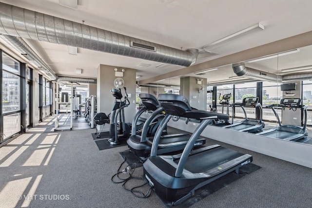 gym with floor to ceiling windows, carpet floors, and visible vents