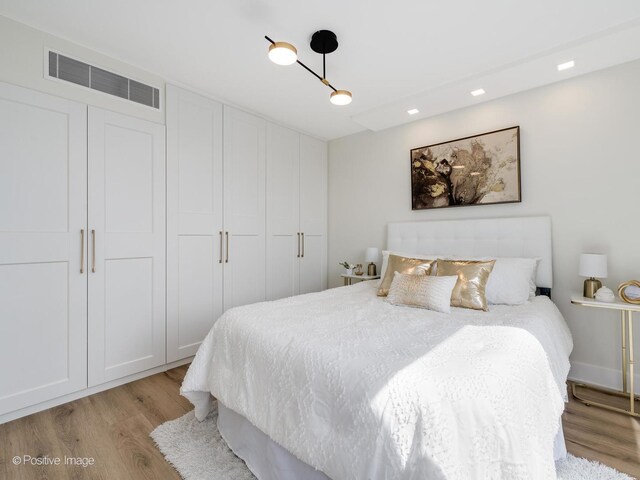 1310 N Ritchie Ct Unit 27B, Chicago, IL 60610 - bedroom featuring light wood-style flooring, recessed lighting, and a closet