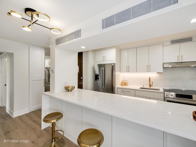 1310 N Ritchie Ct Unit 27B, Chicago, IL 60610 - kitchen featuring stainless steel appliances, a sink, under cabinet range hood, light wood finished floors, and decorative backsplash