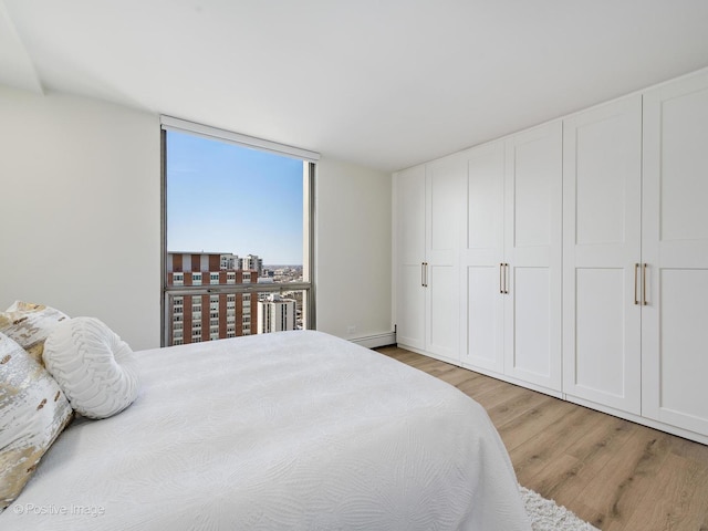 1310 N Ritchie Ct Unit 27B, Chicago, IL 60610 - bedroom featuring light wood-style flooring and a baseboard heating unit