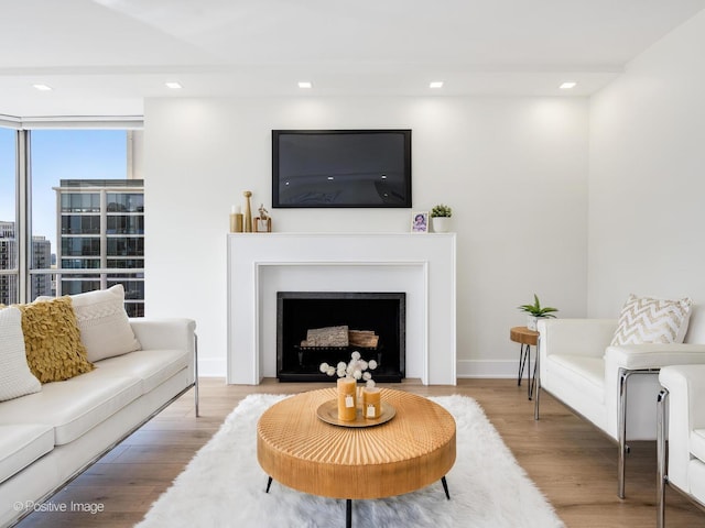 1310 N Ritchie Ct Unit 27B, Chicago, IL 60610 - living area with wood finished floors, a fireplace, recessed lighting, and baseboards