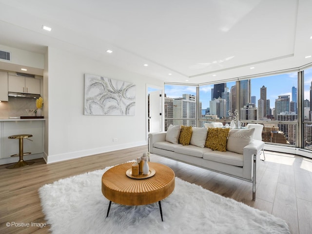 1310 N Ritchie Ct Unit 27B, Chicago, IL 60610 - living room with light wood finished floors, a skyline view, recessed lighting, baseboards, and a raised ceiling